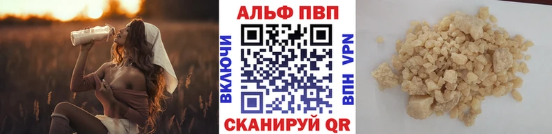площадка клад  Луга  Alfa_PVP СК 