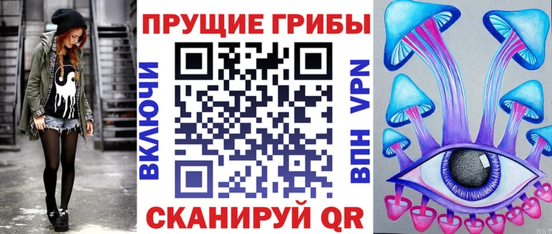 Псилоцибиновые грибы Psilocybe Луга